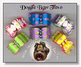 Dog Bows Full Size-Neon Dayzee 