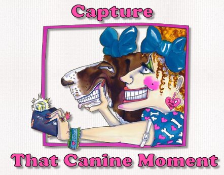 Capture that Canine Moment-photography