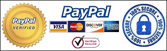 Secure online shopping with Paypal